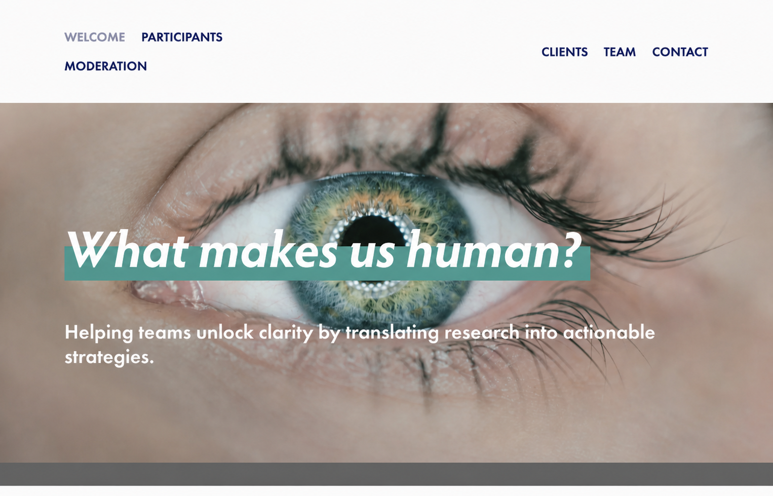 Undercover Insights site preview